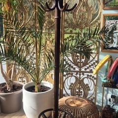 Bentwood Coat Stand