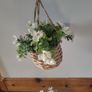 hanging basket Image 6