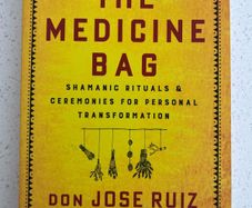 The Medicine Bag: Shamanic Rituals Jose Ruiz