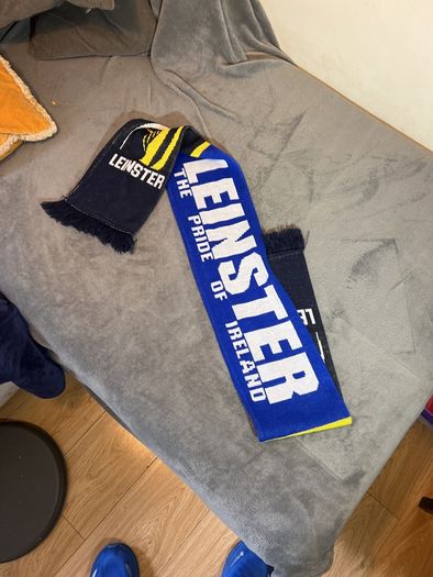 Leinster rugby