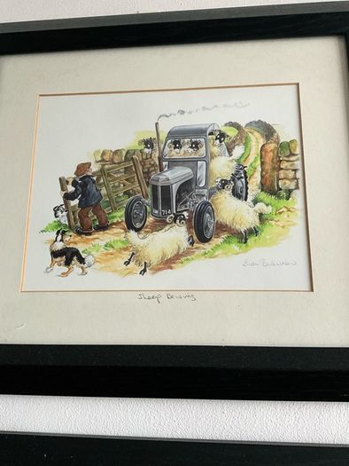 'Cat Nap' & Sheep Driving' by Linda Birkinshaw