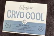 Seoulista beauty Cryo cool skin tool