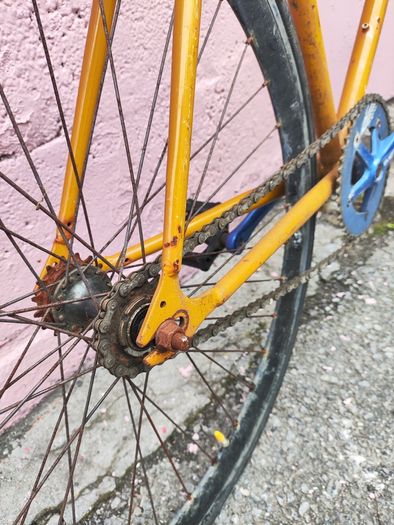 Fixie / Single Speed Bicycle
