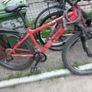 mountain bike Image 4