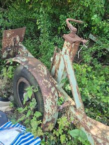 vintage heavy-duty plant trailer