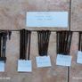 Antique Slotted head wood screws Image 4
