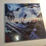 PAUL VAN DYK - Forbidden Fruit! - MFS Records - 12" Single - EPIC PVD Trance Classic from '97! Original GERMAN PRESSING! Image 3