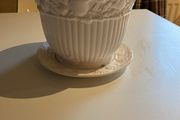 Flower pot &amp; saucer