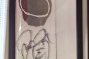 WWE Wrestling framed Signed Socko with signed cert
