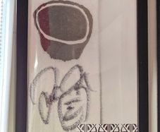 WWE Wrestling framed Signed Socko with signed cert