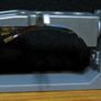 Denon 54mm Overhang Gauge for 1/2 inch Turntable Headshells Image 2