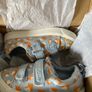 Clarks City Bright T light blue unisex canvas runners 6.5F Image 3