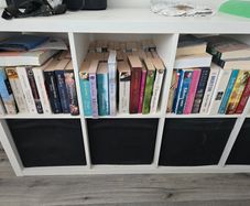 Polish books