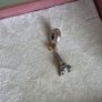 Pandora charm Eiffel Tower with gold heart very good condition hallmarked Image 2