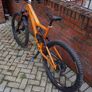 Orbea occam 2025 NEED GONE Image 5