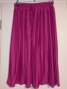 Gorgeous pleated maxi skirt