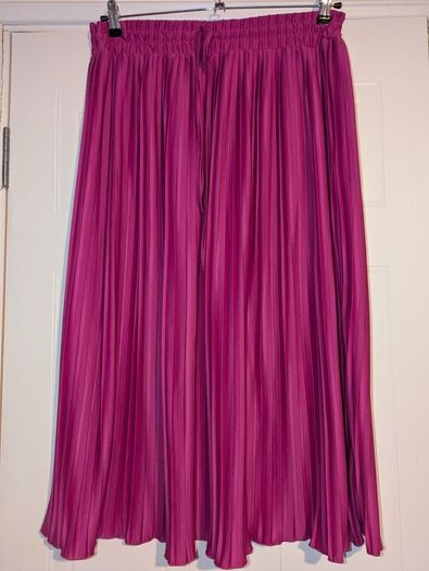 Gorgeous pleated maxi skirt