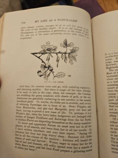 My Life As A Naturalistic. By W. Percival Westell. First Edition 1918 Hardback In Fair Condition.  See Photos For Same.