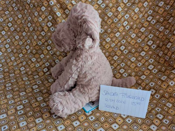Jellycat Medium Fuddlewuddle Pup BNWT