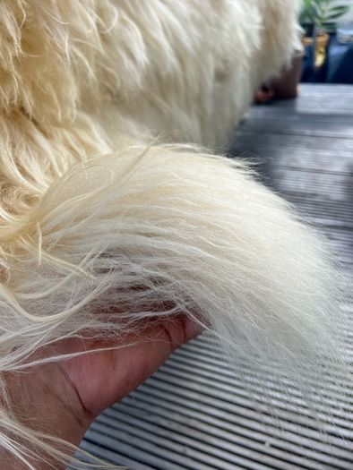 sheepskin throw