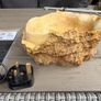 Heat mat and water bowl Image 2
