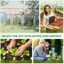Tunnel Greenhouse Green Grow House Steel Frame for Garden Backyard with Zipper Doors 295x100x80 cm, Clear Image 2