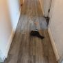 7mm Malaga/Java/beige Laminate flooring supply&fit available Image 2