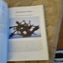 Wood You Believe. Volume 3. The Ancestral Self. By Fr Jim Cogley. First Edition Large Volume Paperback  With Dustjacket. See Photos For Same. Image 8