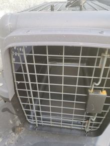 For sale pet carrier box