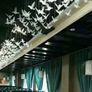 Wedding  Decoration Image 6