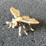 3 brass Animals,. Solid brass. Image 5