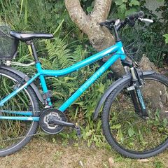 Girls bike good condition