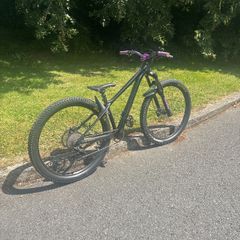 hardtail bike