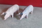 SET OF  2  Schleich Pink Pig Figure USED Made In Germany