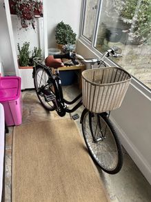 ladies step-through bike