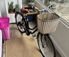 ladies step-through bike