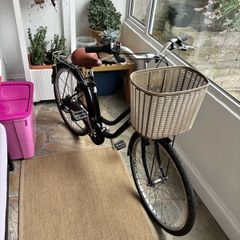ladies step-through bike