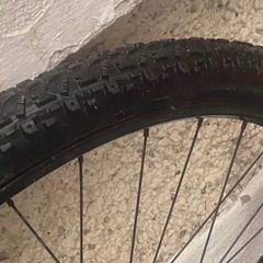 8spd 29er mountain bike wheel.