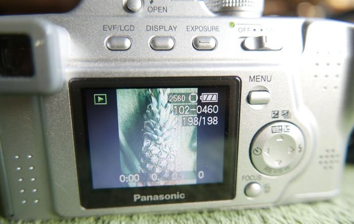 Panasonic Lumix DMC-FZ5 Digital Camera +2Gb SD Card Tested