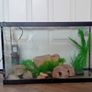 Fish tank Image 2