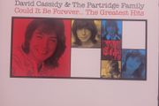 David Cassidy &amp; The Partridge Family - The Greatest Hits.