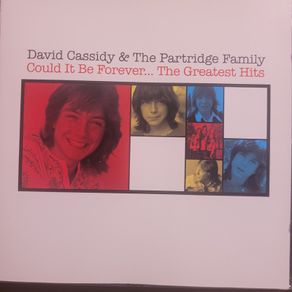 David Cassidy & The Partridge Family - The Greatest Hits.