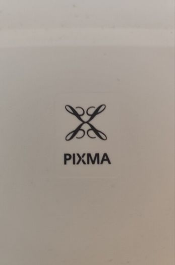 Canon MG2950 printer scanner