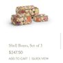 Collectable shell box Image 7