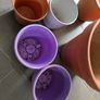 6 plant pots 3 ceramic and 3 plastic Image 4