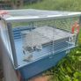 Hamster Cage Image 3