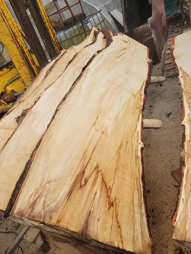Hardwood timber