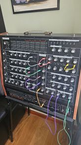 Analogue Solutions Polymath