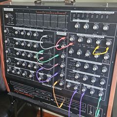 Analogue Solutions Polymath
