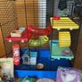 Small pet cage with accessories Image 2